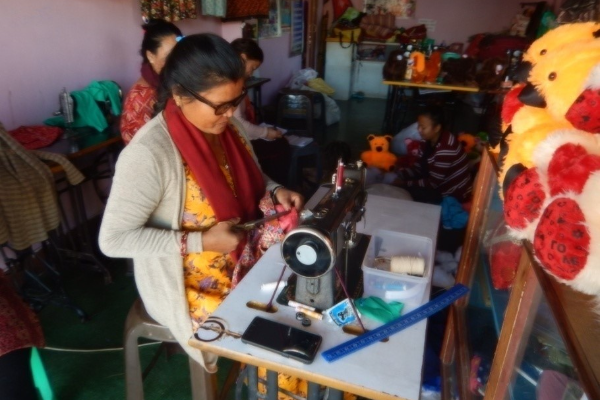 Provision of follow-up Business Development Services (BDS) Project